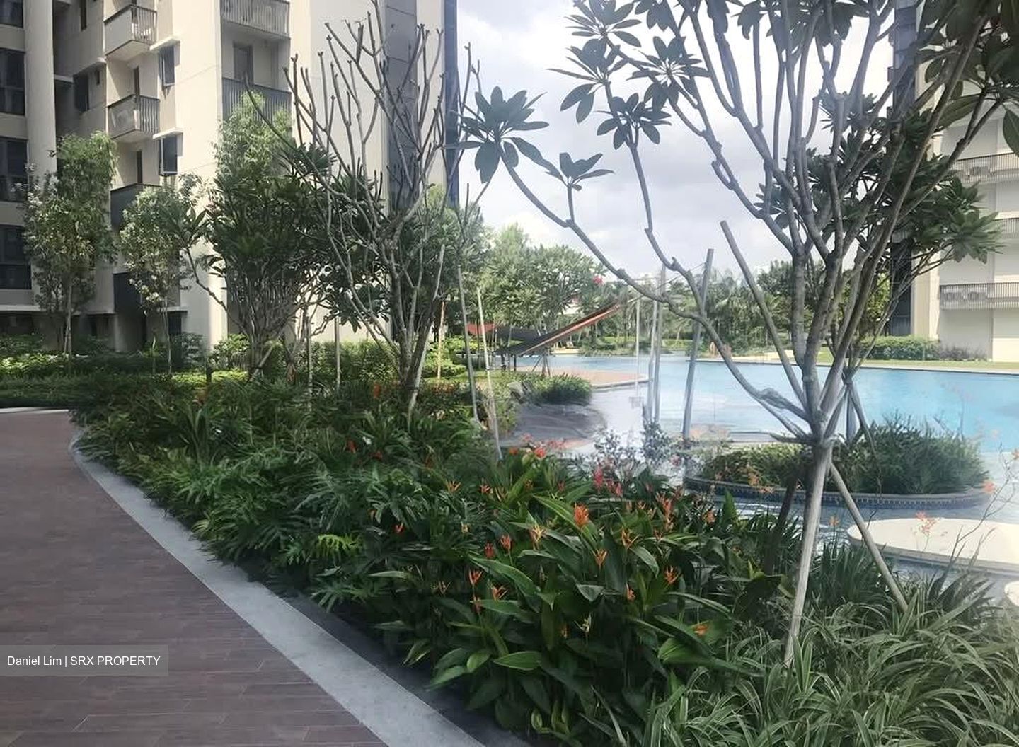 Lakeville (D22), Condominium #559741691